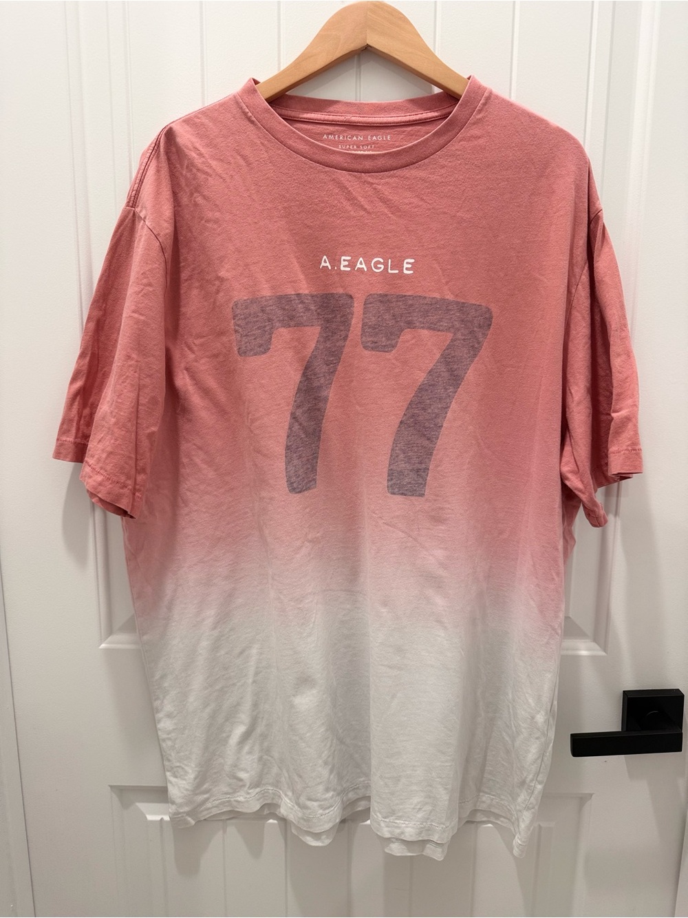 American Eagle Outfitters Men's Fade Graphic Tee - Dusty Rose & White
